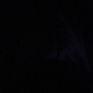 Meet your Posher, Tabitha